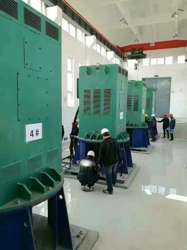 YKS5601-8某污水处理厂使用我厂的立式高压电机安装现场