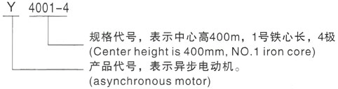 西安泰富西玛Y系列(H355-1000)高压YKS5601-8三相异步电机型号说明